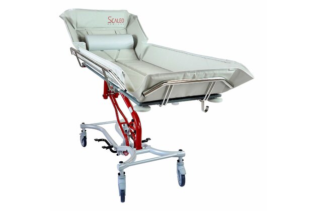 4. Shado 180 Adult with backrest.jpg